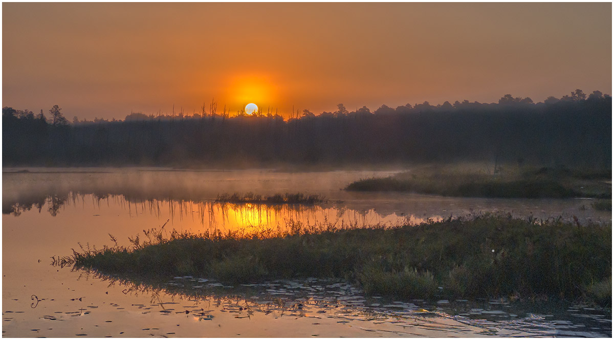 Greiss Jill MistySunrise Nature   General   Class B 20260225